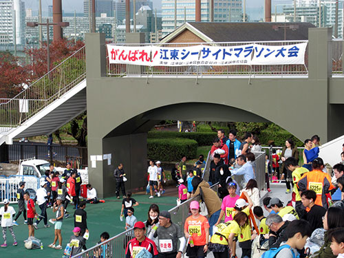 第39回江東シーサイドマラソン大会に参加
