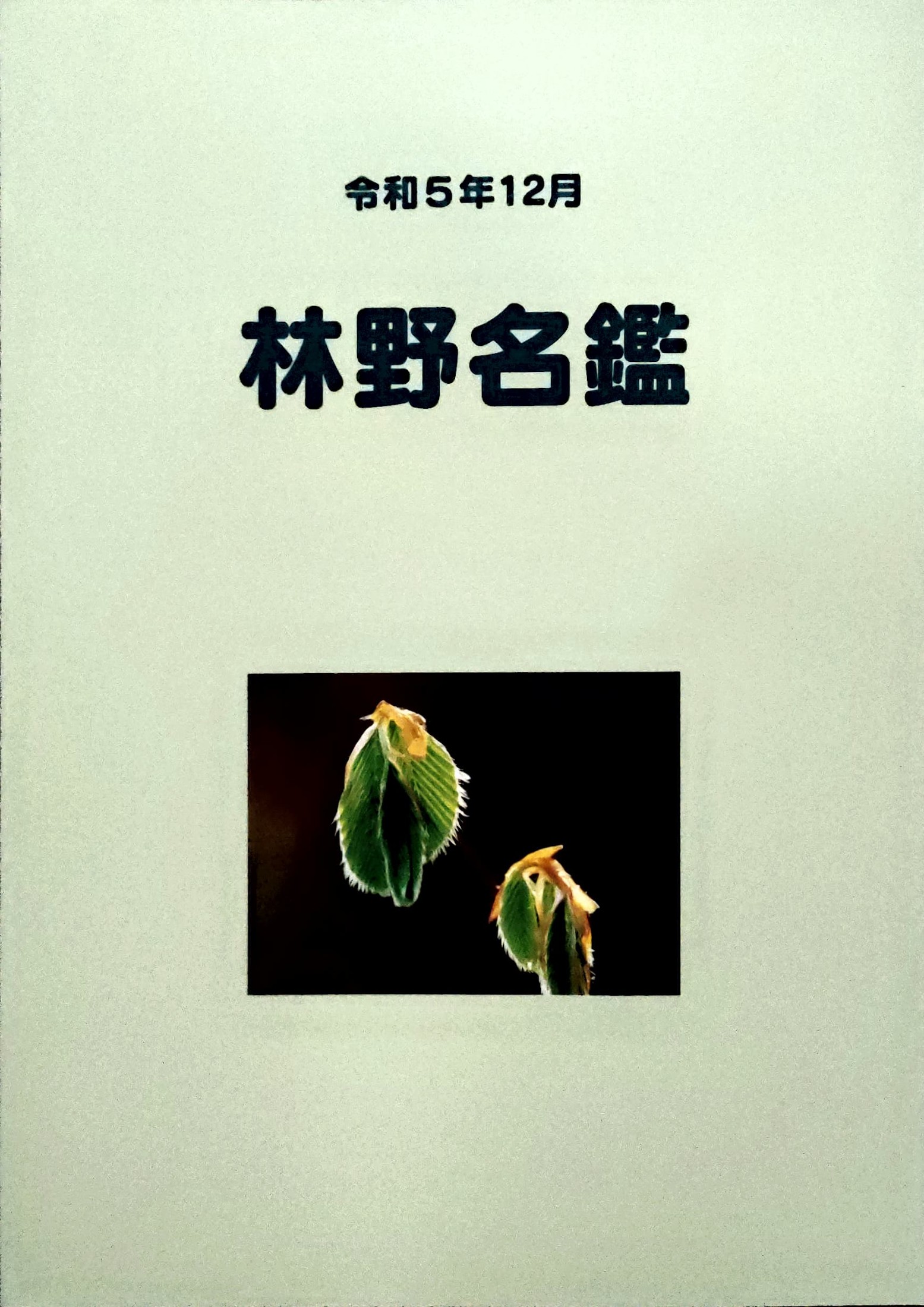 Adobe Scan 2025_10_31 (19)_1