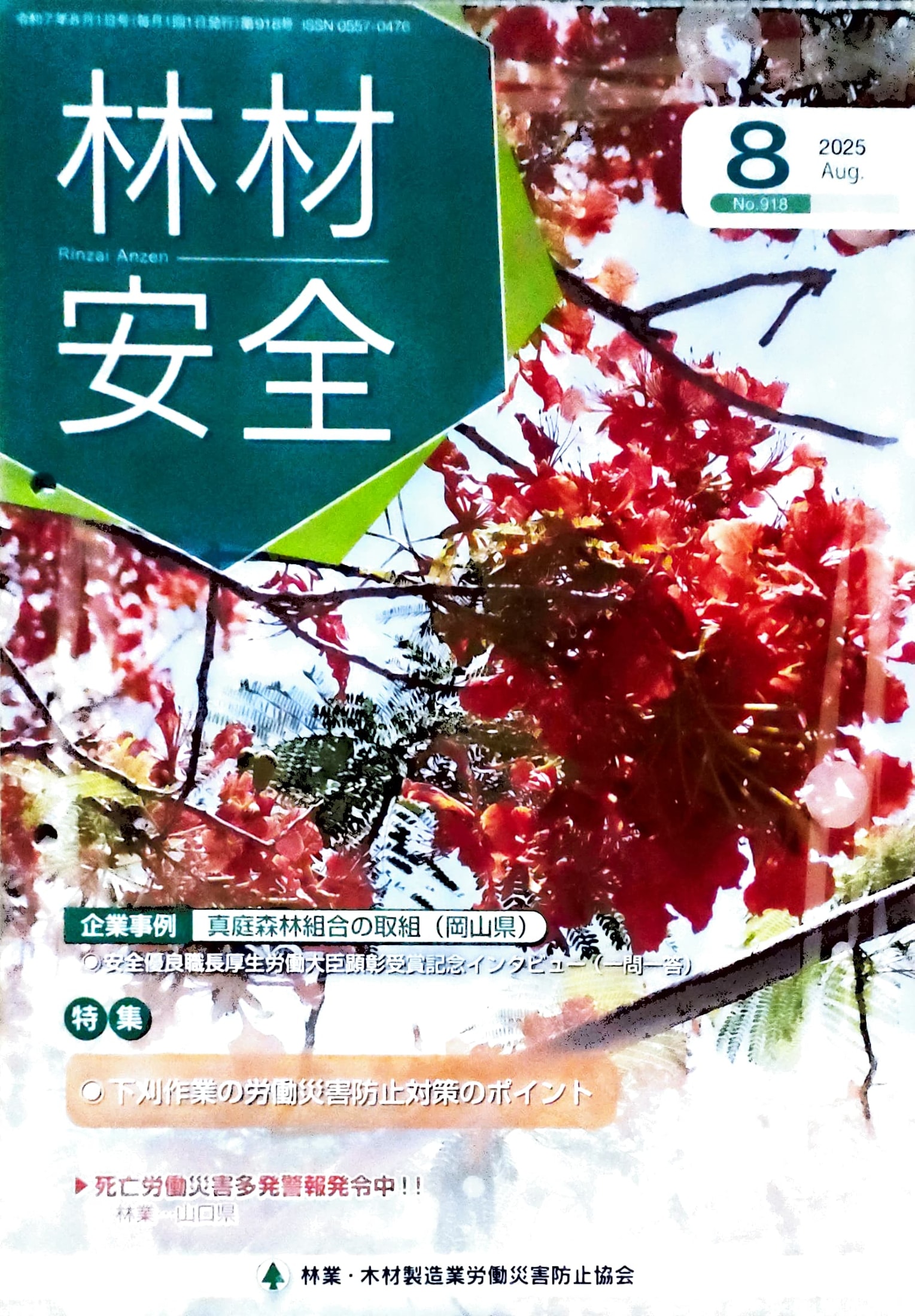 Adobe Scan 2025_10_31 (41)_2